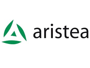 Logo Aristea International S.r.l.