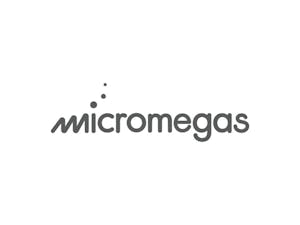 MICROMEGAS LOGO MICROMEGAS LOGO