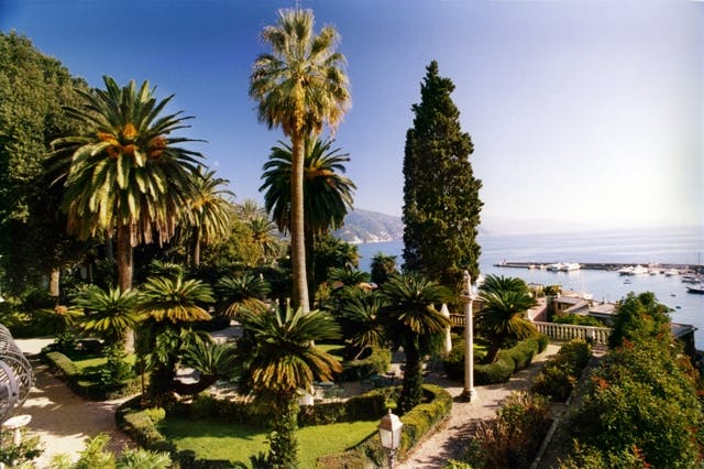 Garden facing the sea, Genoa