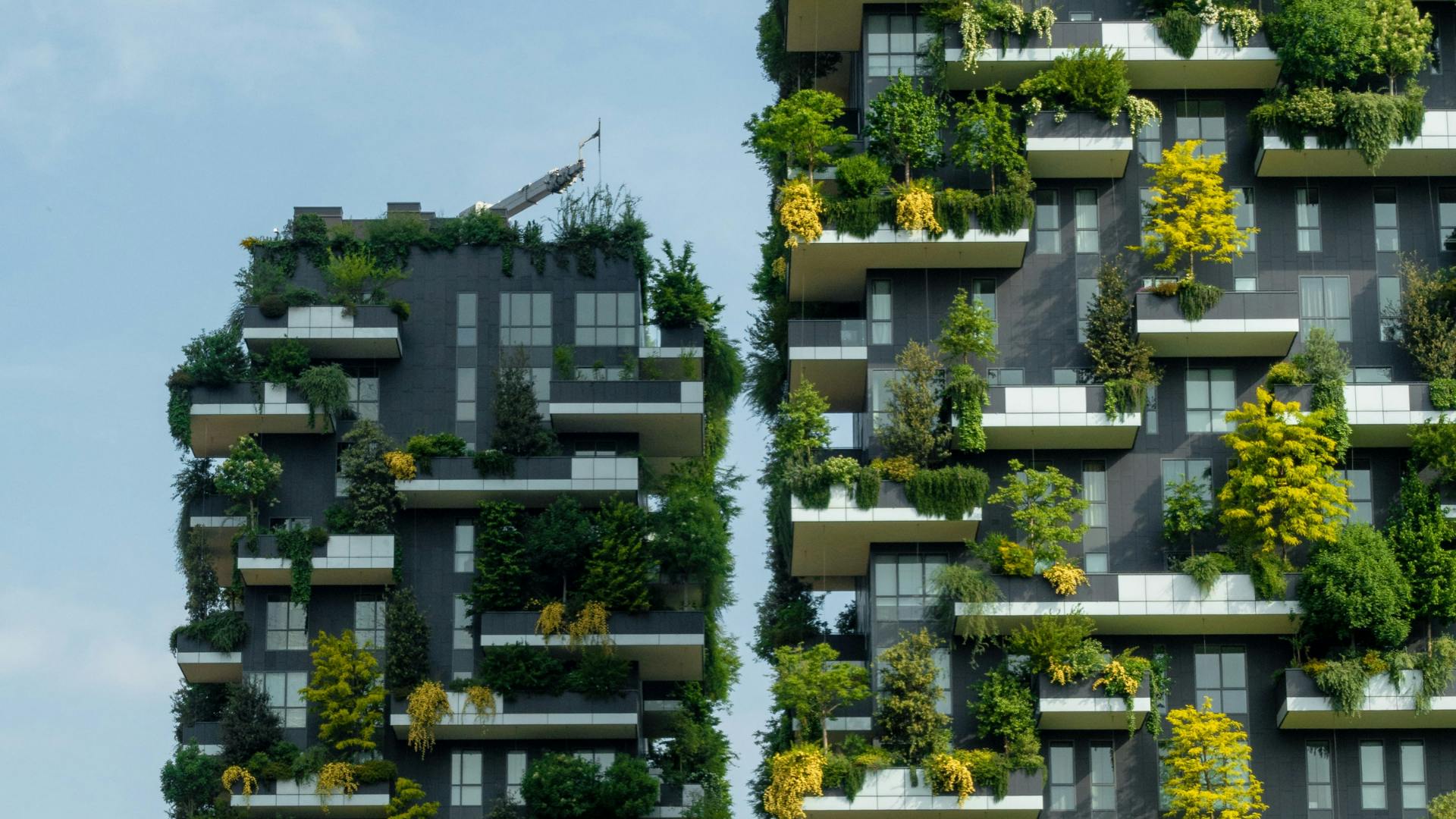 palazzi con piante
