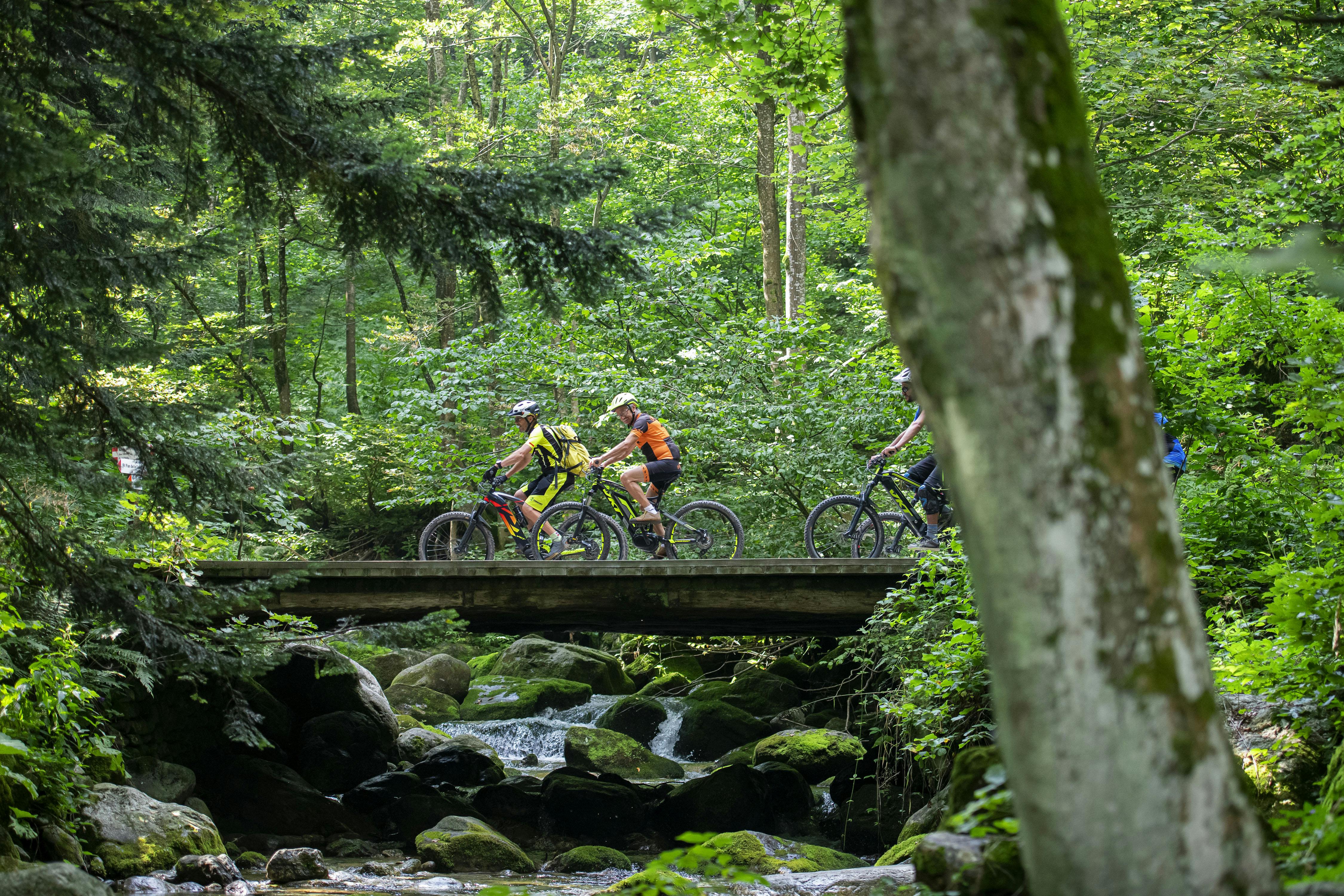 ciclisti in montagna