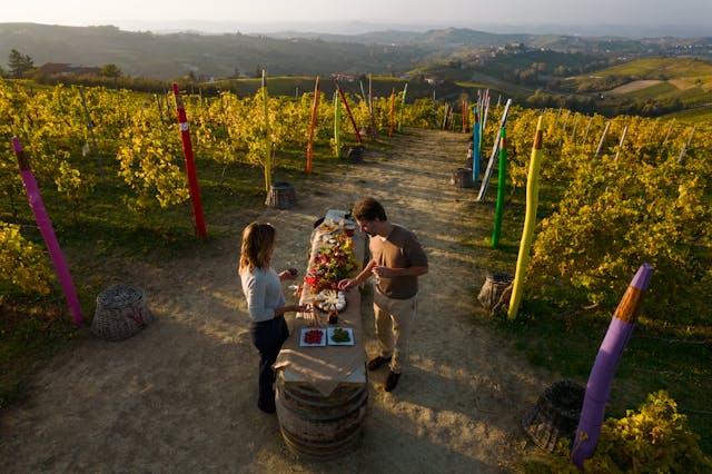 snack in the vineyard