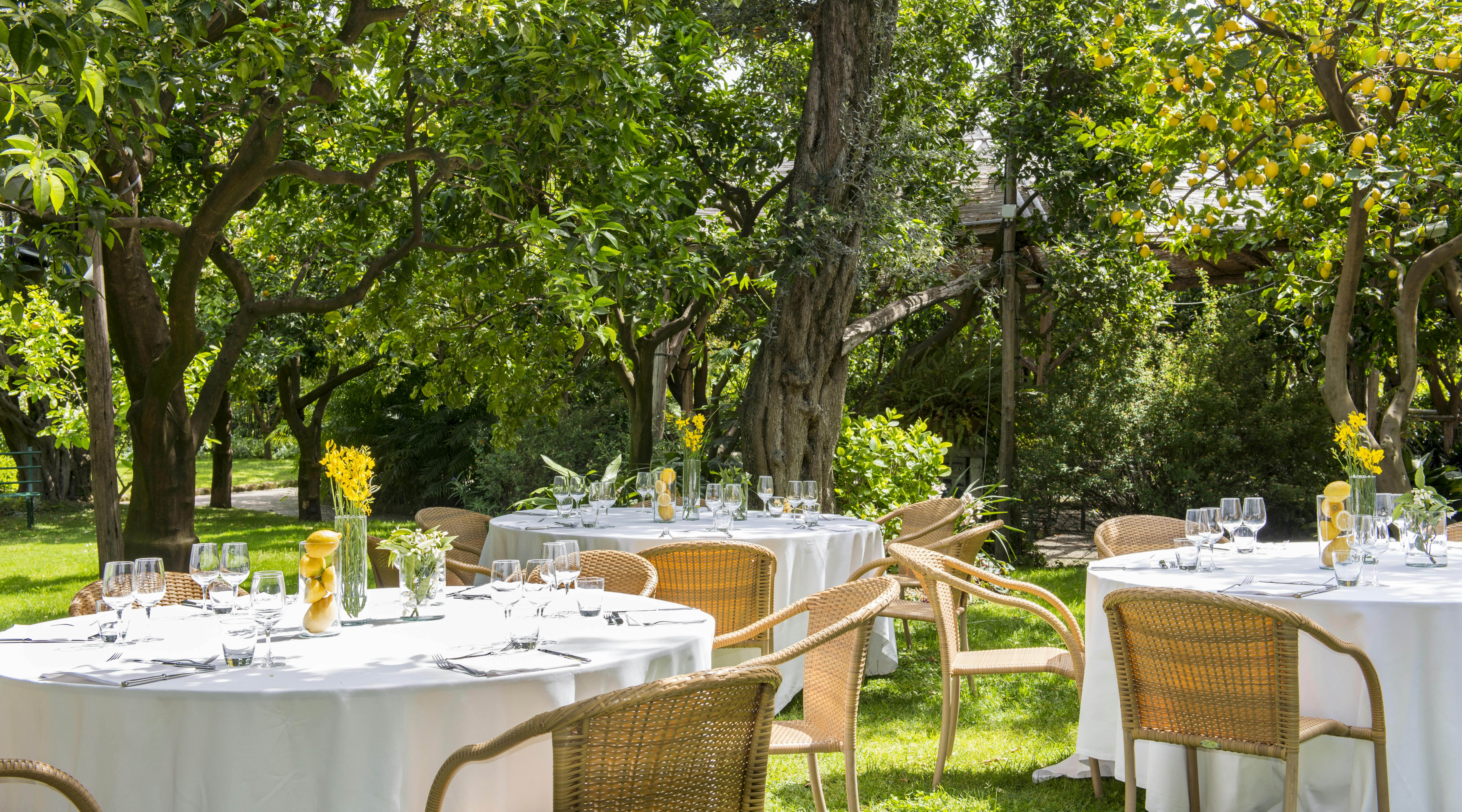 Tables with white appliances in the outdoor garden with trees