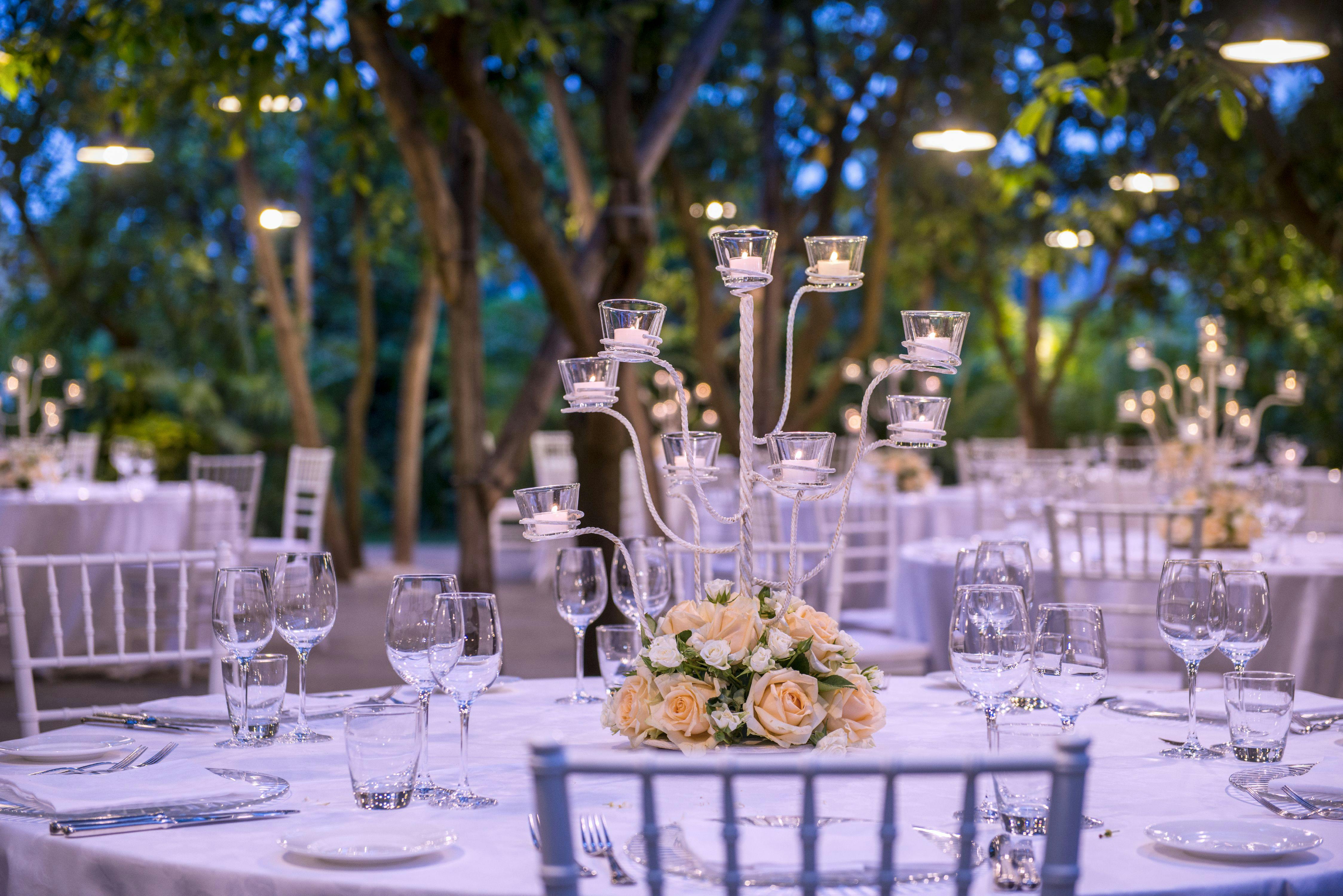 Cena di gala con apparecchiature bianche e alberi sullo sfondo