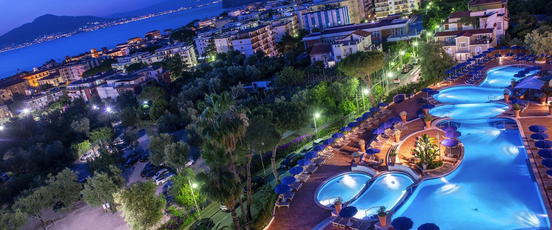 Hilton Sorrento Vista dall'alto di piscina all'aperto e alberi