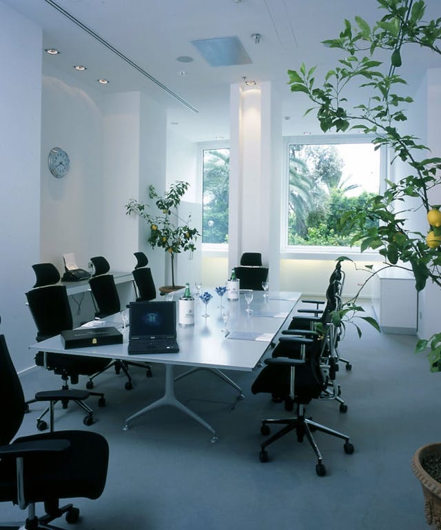 Sala riunioni con pareti bianche, sedie nere e una pianta