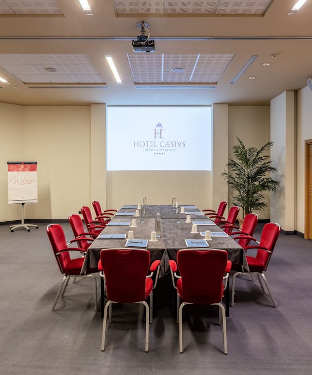 Sala meeting-sedie rosse-pianta