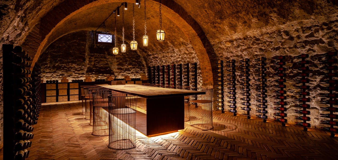 Wine testing experience in the cellars of the Terre di Siena