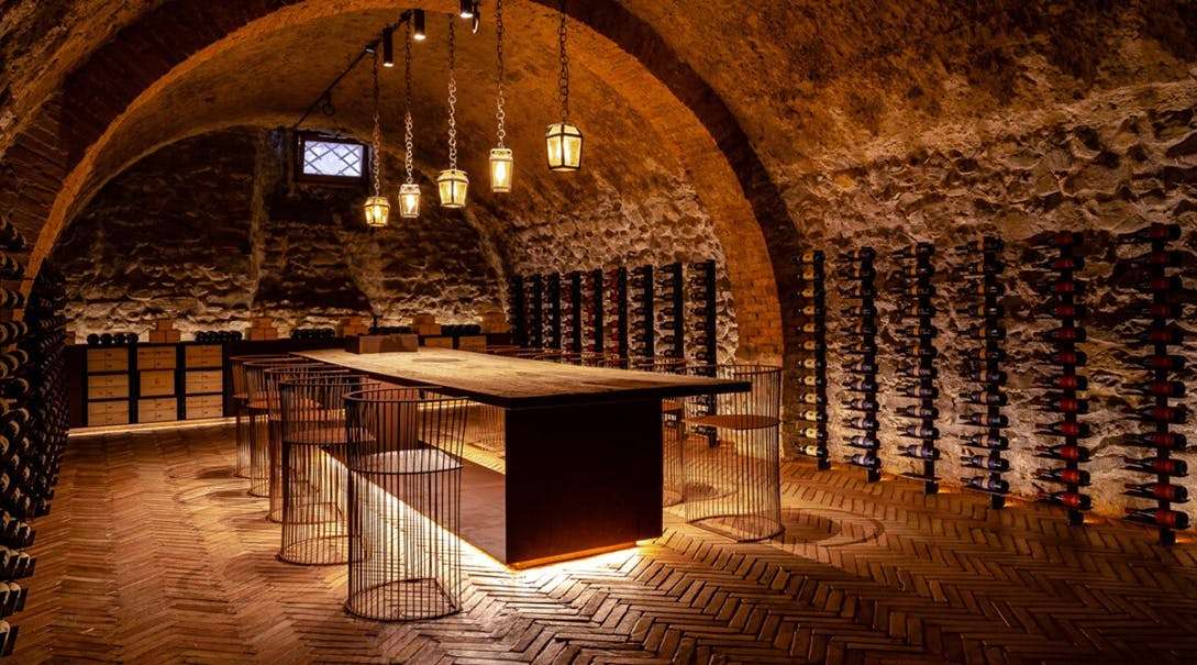 Wine testing experience in the cellars of the Terre di Siena