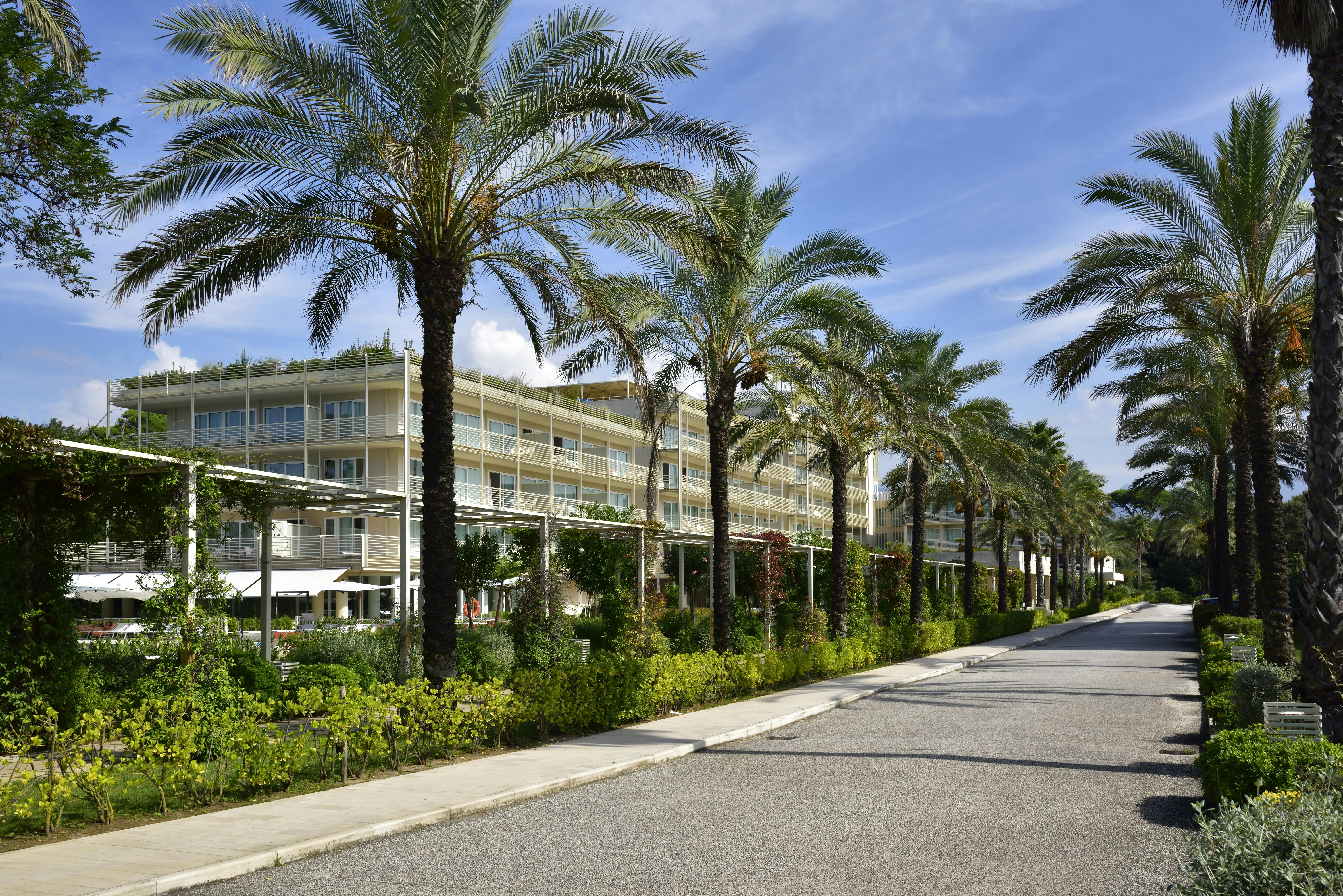 Street with palm trees