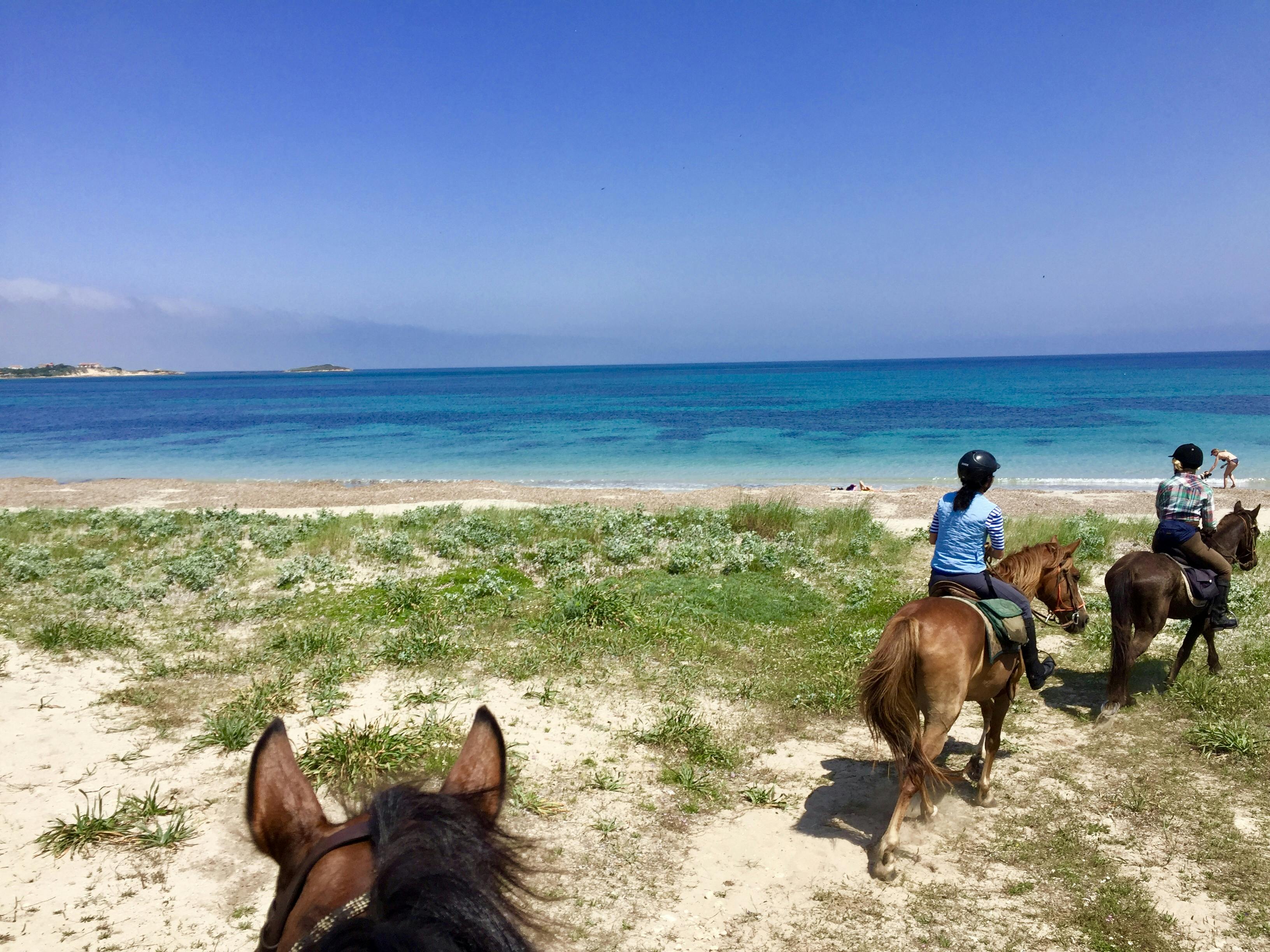 passeggiata a cavallo sulla spiaggia