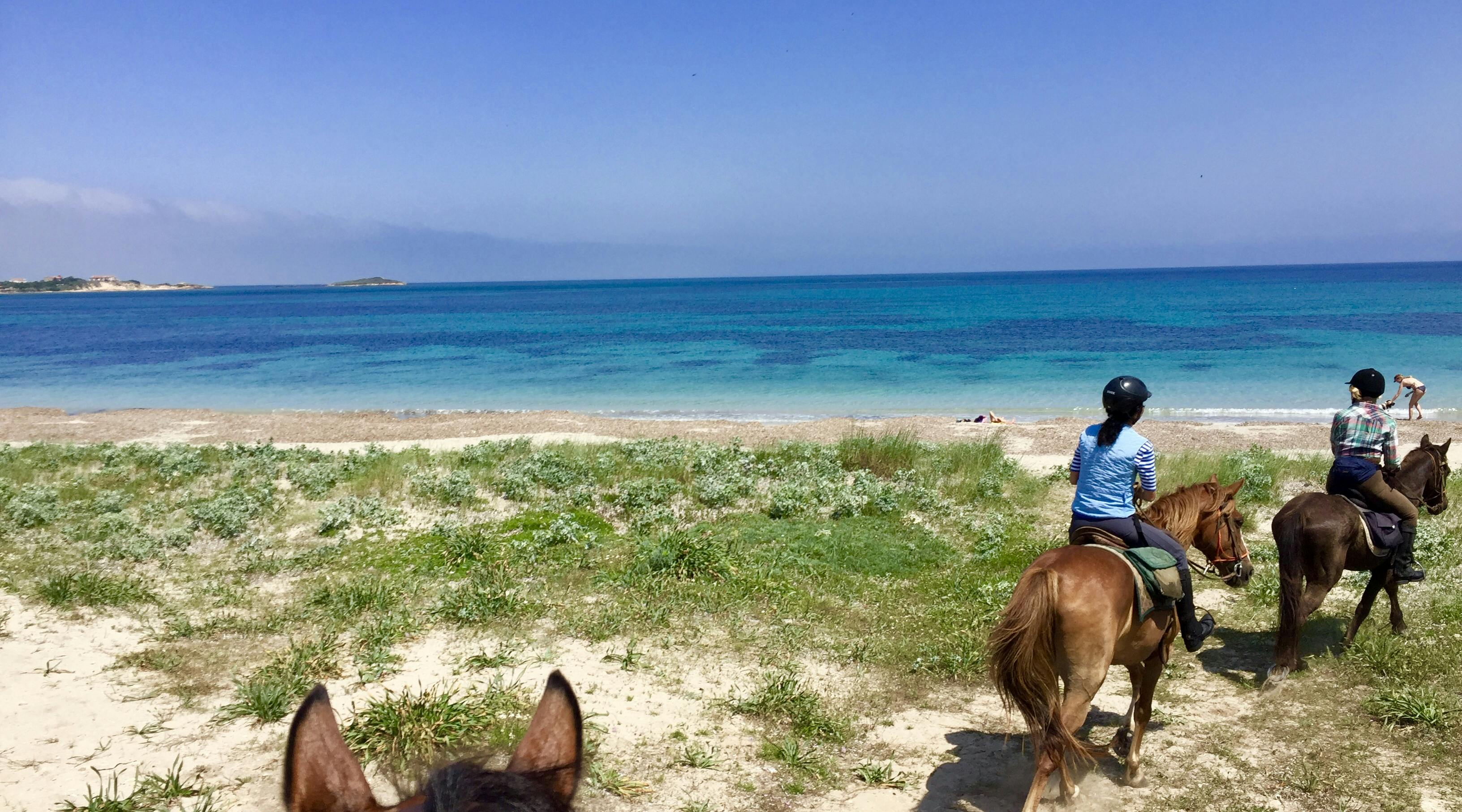 passeggiata a cavallo sulla spiaggia
