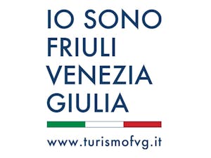 FVG logo FVG logo