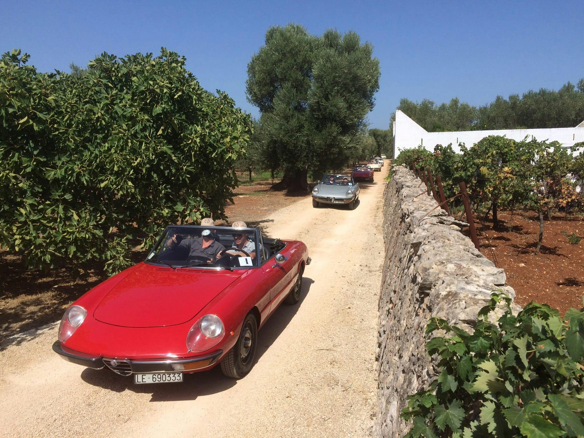 giro con auto d'epoca in campagna