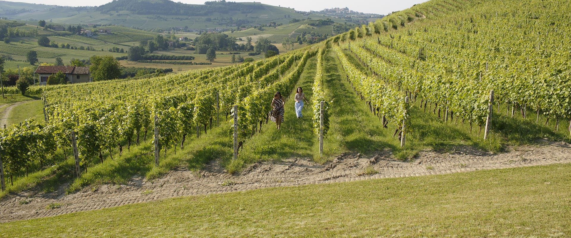 vineyard with people running