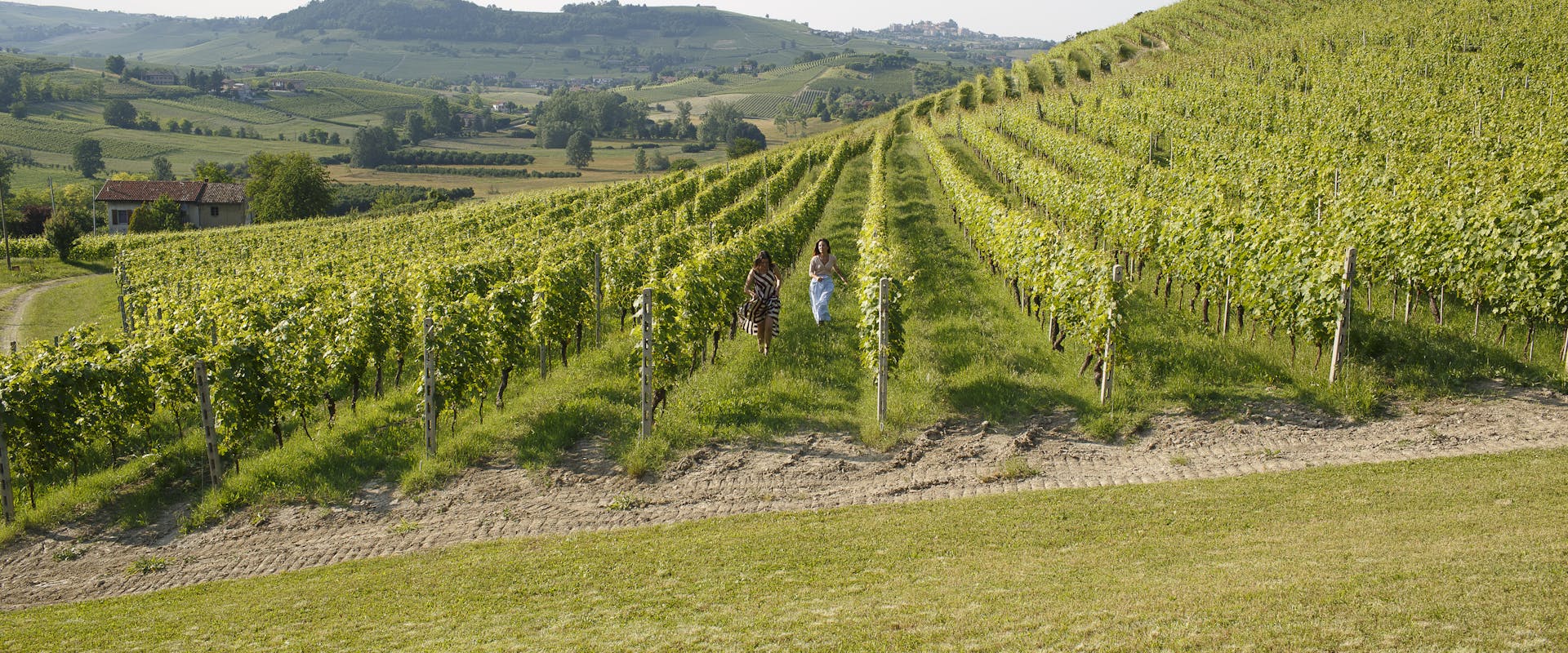 vigneto con persone che corrono