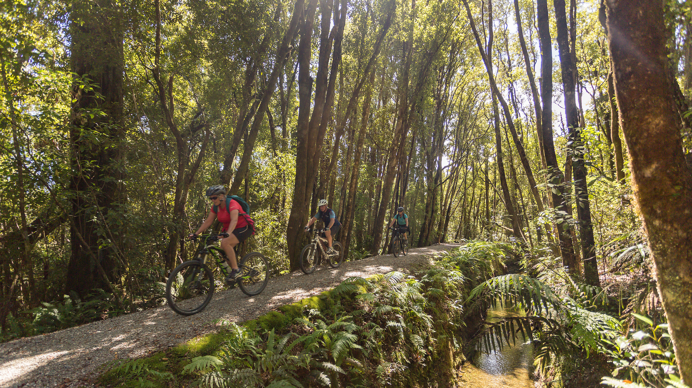 West Coast Wilderness Trail - Wilderness Trail