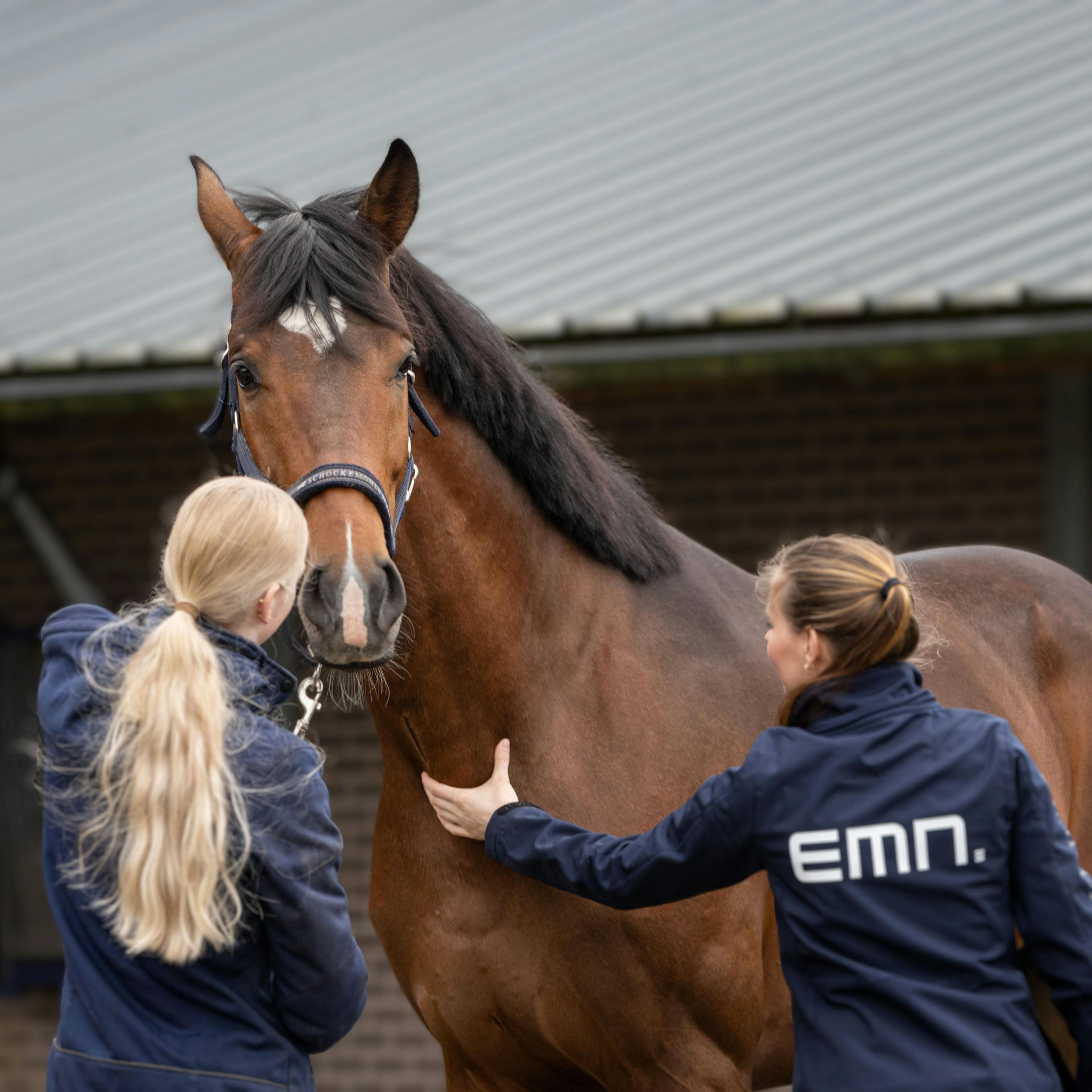 Twee personen in blauwe jassen, waarvan één met EMN-logo, onderzoeken een bruin paard met hoofdstel op een erf met een schuur op de achtergrond.