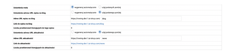 Konfiguracja adresów URL na blogu lub w aktualnościach