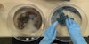 Adventures in Washing Wool Yarn Image