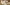Ovine Obsessions: Google Sheep View Primary Image