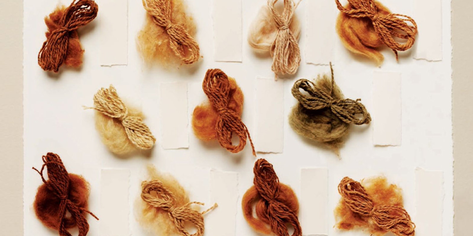 Southeastern Animal Fiber Fair | Spin Off Southeastern Animal Fiber Fair | Spin Off
