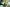 Combing your own top just got easier Primary Image