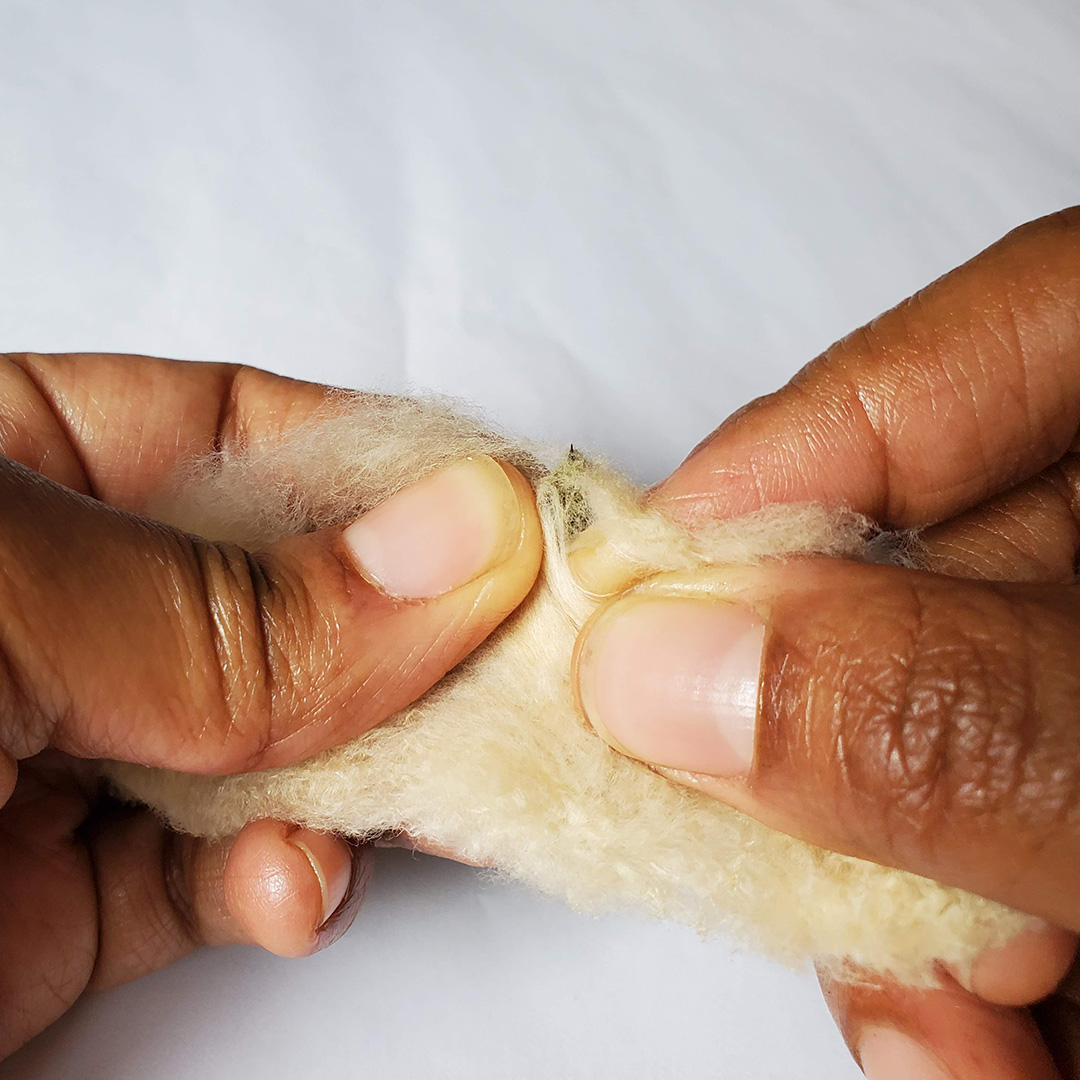 Cotton hand 2025