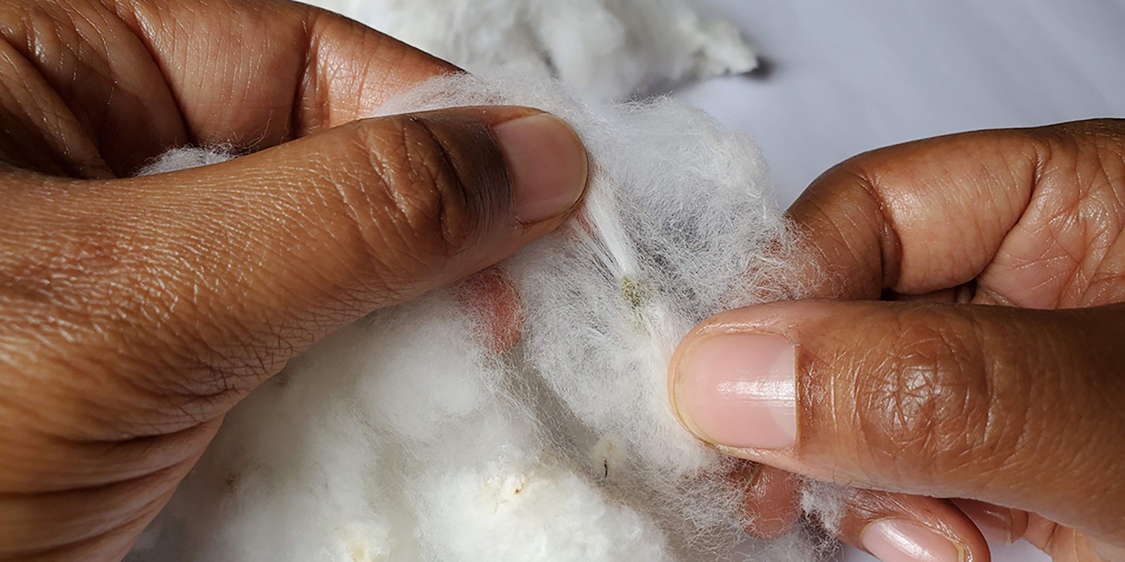 A Practical Guide to Ginning Cotton by Hand Spin Off