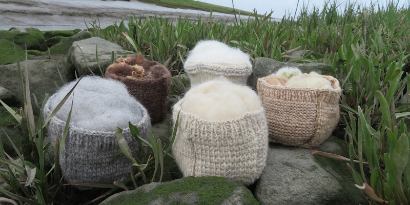 Header-woolly-baskets-at-the-sea-shore-1