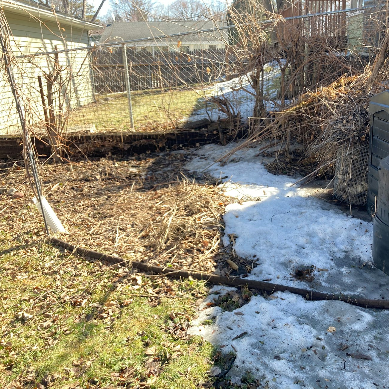 Helmen-Dye-Garden-Before