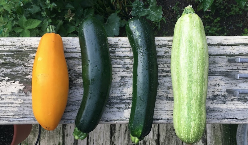 Veggies