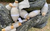Bobbins in Your Backyard: Foraged Spinning Tools Image