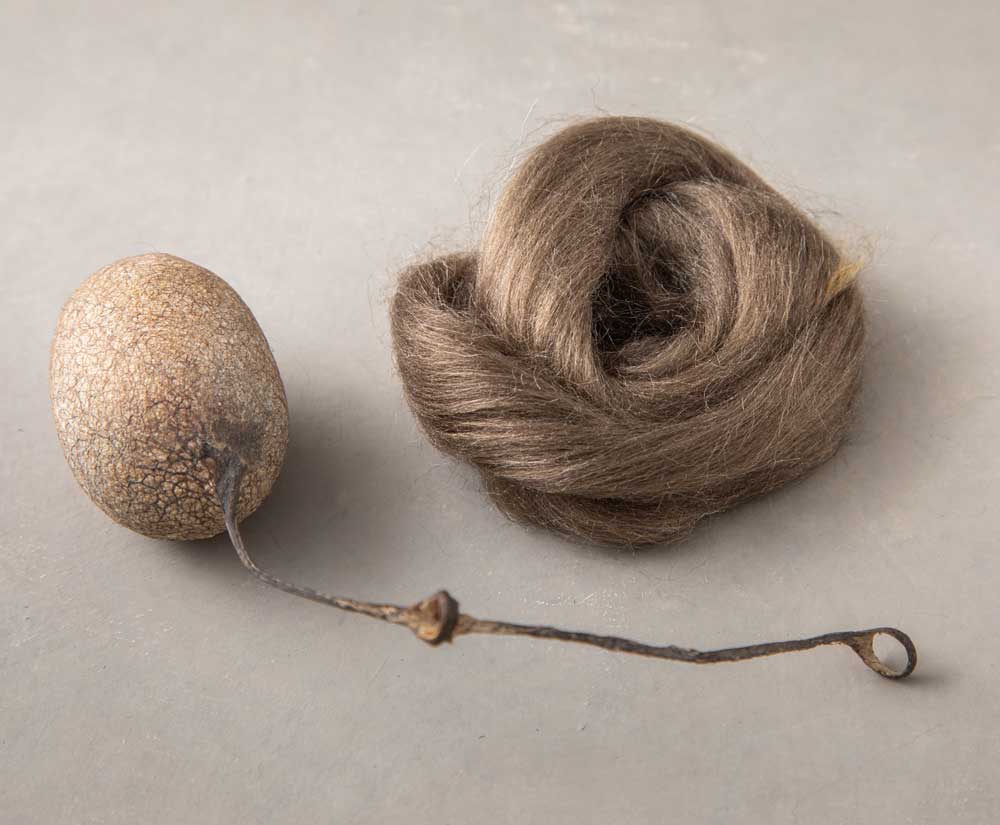 peduncle