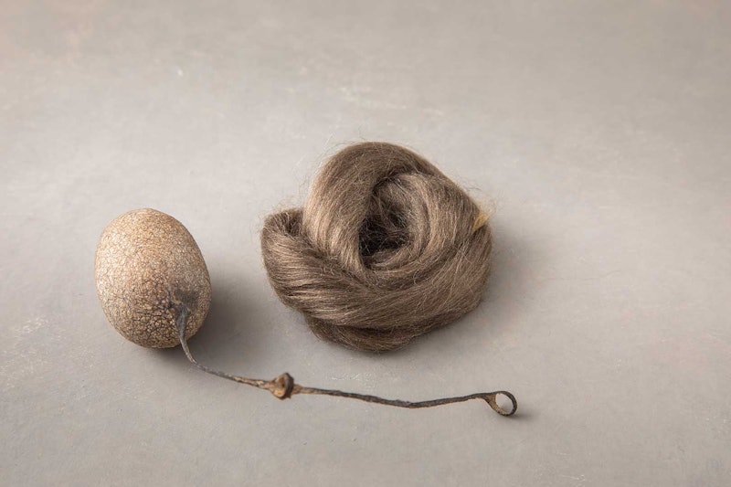 Peduncle silk and cocoon.