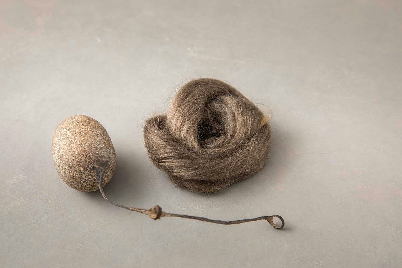 Peduncle silk and cocoon. 