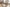 Yes, Antique Spinning Wheels Do Talk Image