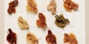 Natural Fibers: Free Spinning Projects on Alternative Fibers and More Image