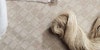 Amazing Guide to Spinning Flax: Linen Spun from Flax Fibers Image