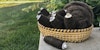 Be Kind, Rewind: Bobbin Winder to the Rescue Image