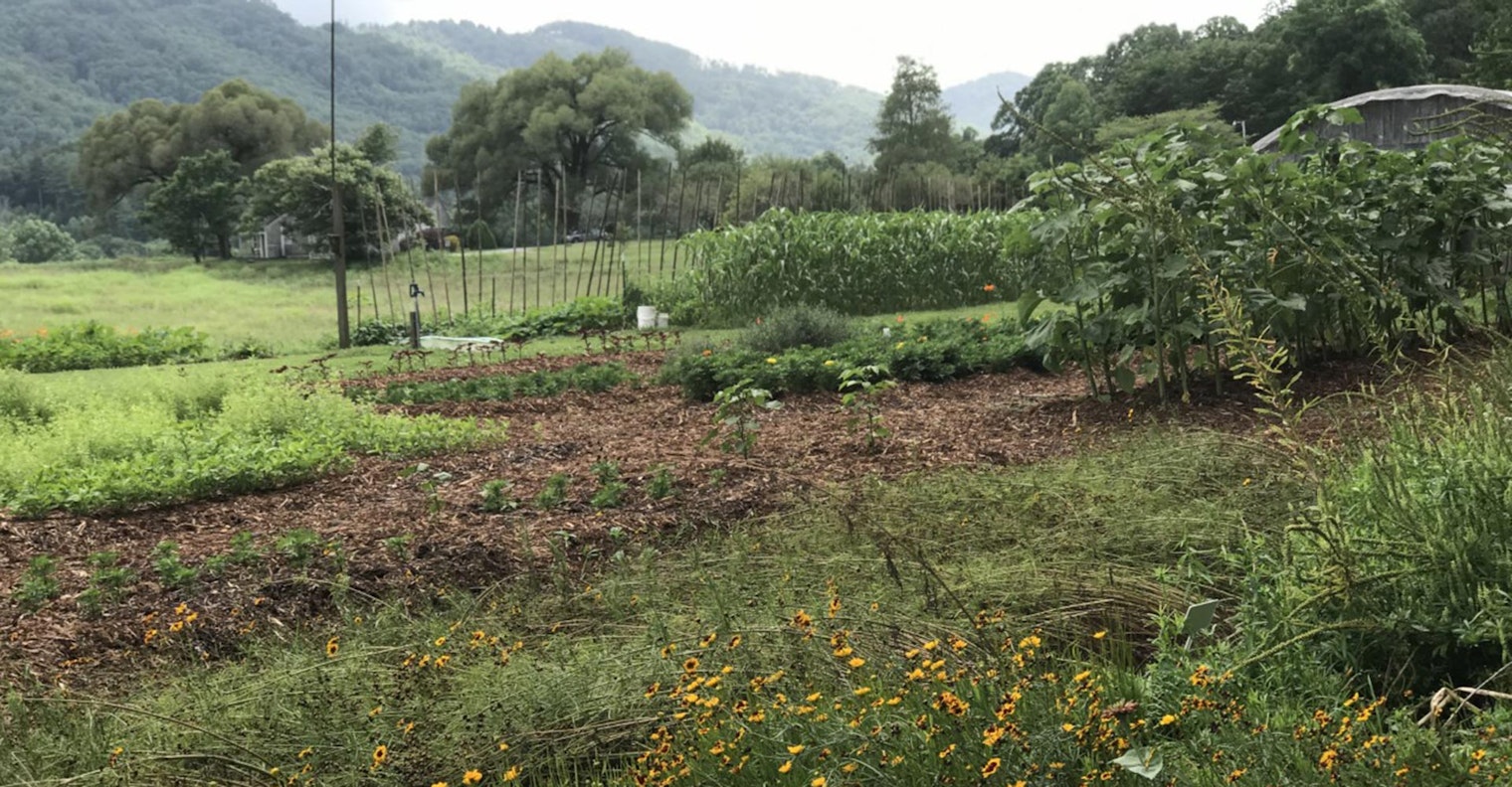 setting-header