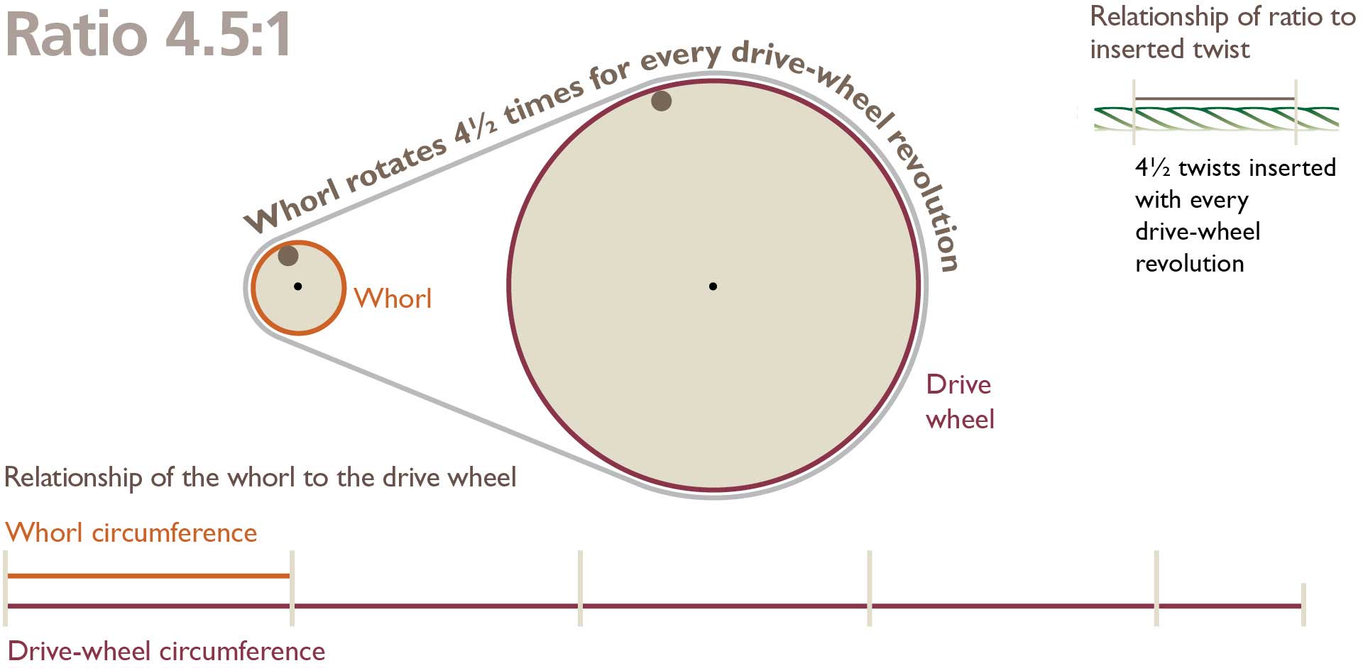 Choosing-the-Whorl-2