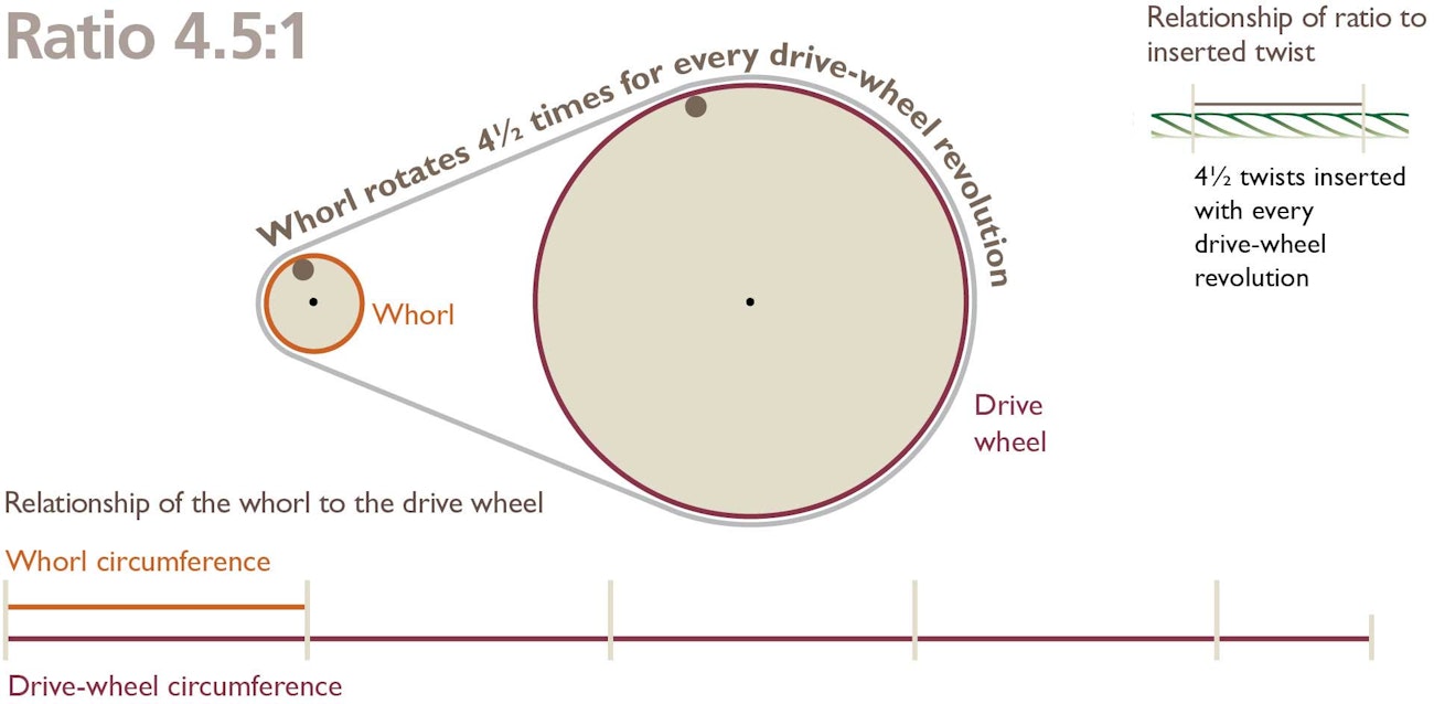 Choosing-the-Whorl-2