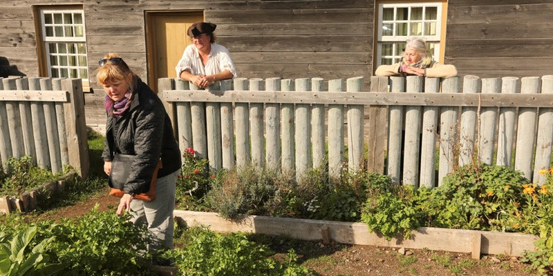 garden