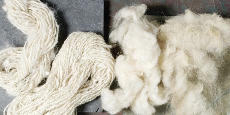 new_Mountain-goat