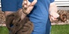 Get Mobile! 5 Tips for Spinning Yarn While You Walk Image