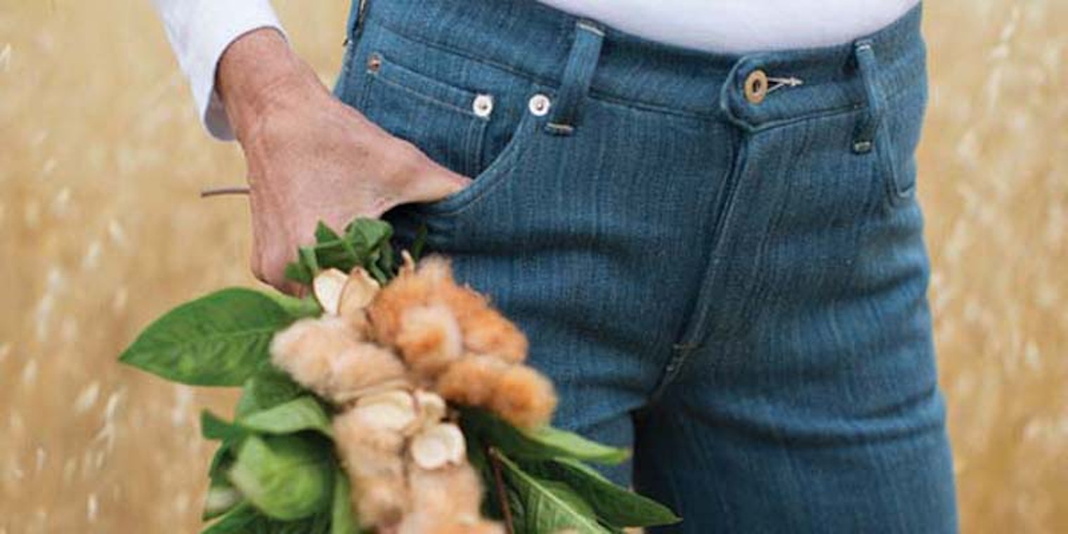 Header_Jeans_--CROP--CROP800