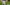 Looking for Perfect Buttons? Make Your Own Primary Image