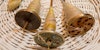 Her Handspun Habit: What I Learned From Spinning on Every Single Spindle I Own Image