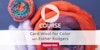 Spin like a Boss with Colorful Carded Wool! Image
